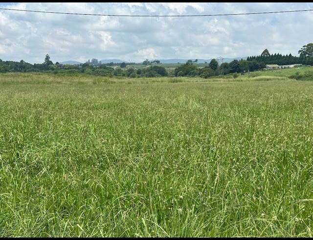 LAND FOR SALE IN GREENDALE